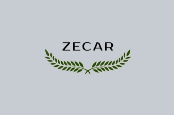 Магазин «Zecar»