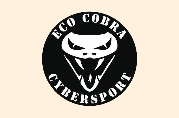 Компьютерный клуб «Eco Cobra»