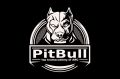 Спортивный клуб «PitBull»